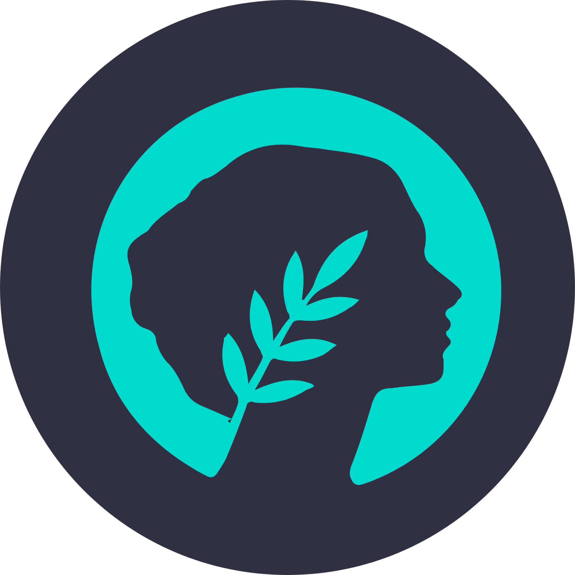 Metis logo
